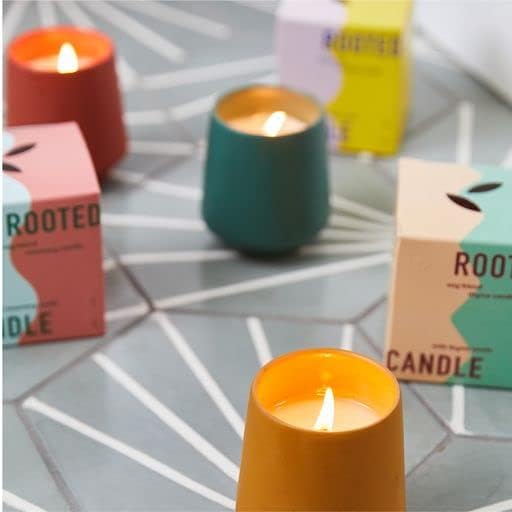 Modern Sprout Rooted Candle - 2 in 1 Tonka Bean Scented & Soy Candle with Seeds That Grows into Thyme Plant - 6 oz w/ 42 hr Burn time in Matte Glaze Ceramic Vessel Ideal for Indoor Herb Garden