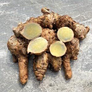 Green Turmeric Live Plant - (Curcuma aeruginosa) - Rare Medicinal Herb, Vibrant Pink Flowers, Ideal for Tropical Gardens (4 Green Turmeric Cups)