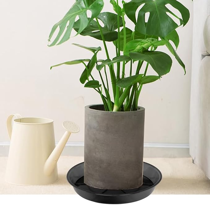 Plant Saucer 10 Inch 2 Pack, Plant Trays for Pots Heavy Duty Round Plastic Plant Saucers for Indoors Outdoors, Flower Pot Drip Trays, Plant Water Catcher Tray,Clear Black Flower Plant Pot Saucer