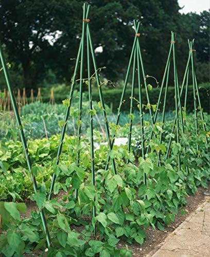 1/4'' X 72'', Garden Stakes, Plant Stakes, Never Rust/Rot, Better Than Wood Stakes and Bamboo Stakes, Dark Green(20)