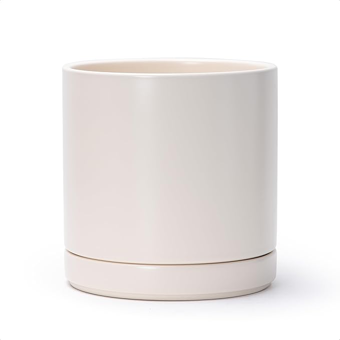 D'vine Dev 8.2 Inch Ceramic Planter Pot with Drainage Hole and Saucer, Indoor Cylinder Round Planter Pot, Oatmeal, 94-O-D-8