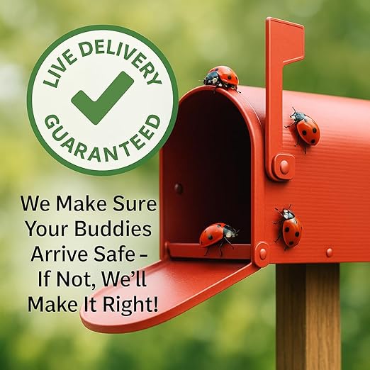 1500 Pre-Fed Live Ladybugs for Aphid Control | Hippodamia Convergens | Guaranteed Live Delivery