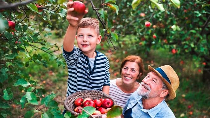 Premium Apple Potting Soil Mix - Optimal Nutrient-Rich Blend for Thriving and Juicy Apples - 3 Quart