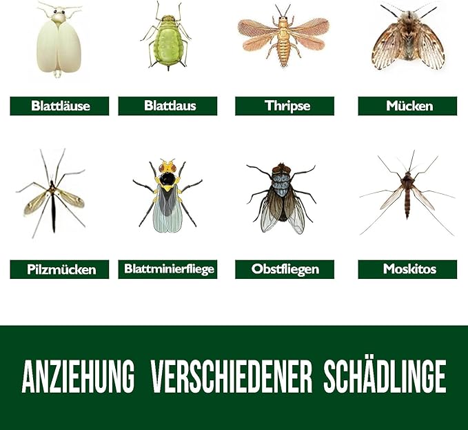 Garsum 42 Traps Sticky Houseplant Traps Gnat Yellow Insect Trap Indoor Fruit Fly Stakes Trap