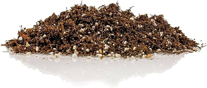 Premium Organic Potting Soil, Succulent & Cactus Soil Mix, Fast Draining Pre-Mixed Blend - Horticultural Perlite (25%) + Peat Moss (75%) - Made in USA - 4 Quart