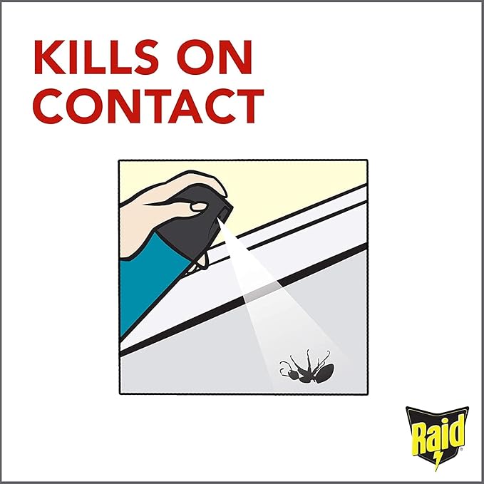 Raid Flying Insect Killer 15 Ounce (Pack of 2)