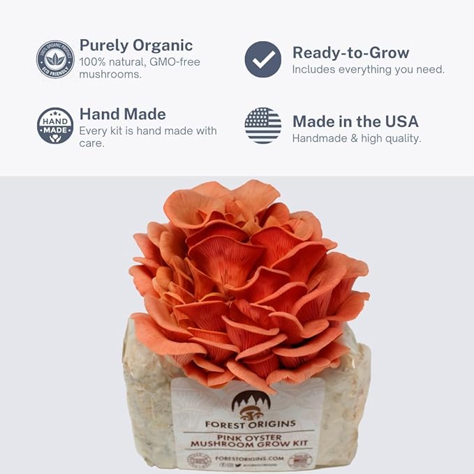 Pink Oyster Mushroom Grow Kit, Beginner Friendly & Easy to Use, Grows in 10 Days | Handmade in California, USA | Top Gardening Gift, Holiday Gift & Unique Gift