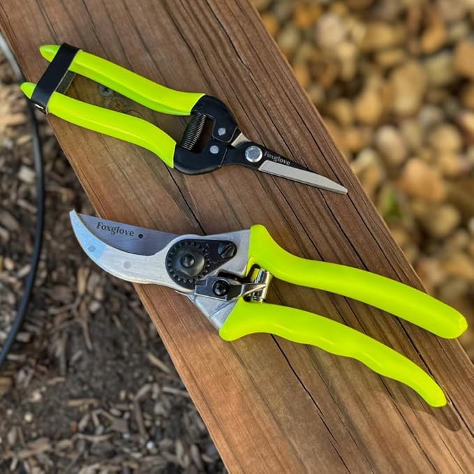 Foxglove 8.5" Garden Shears – Professional Bypass Pruners with Japanese High Carbon Steel Blades, Hand Pruners with Ergonomic Grip, Garden Clippers, Pruning Shears Heavy Duty