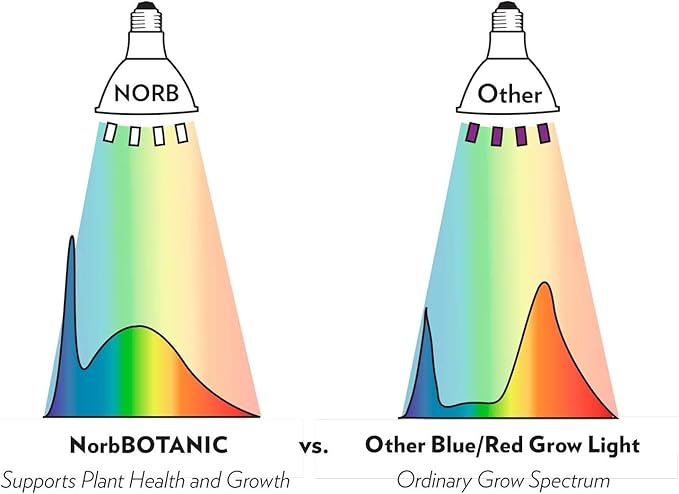 NorbBOTANIC Premium LED Grow Light, Full Spectrum PAR38 Bulb, 1350 Lumens, Energy-Efficient, Sun-Spectrum Mimics Sunlight, White Light, Perfect for Indoor Plants, Herbs, Tropical Plants, 16W 30 Degree