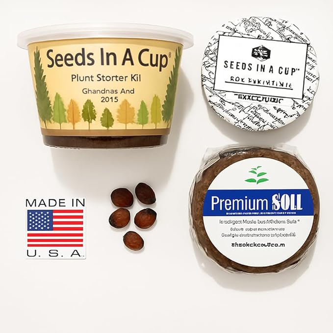 Plant Starter Kit - Money Plant