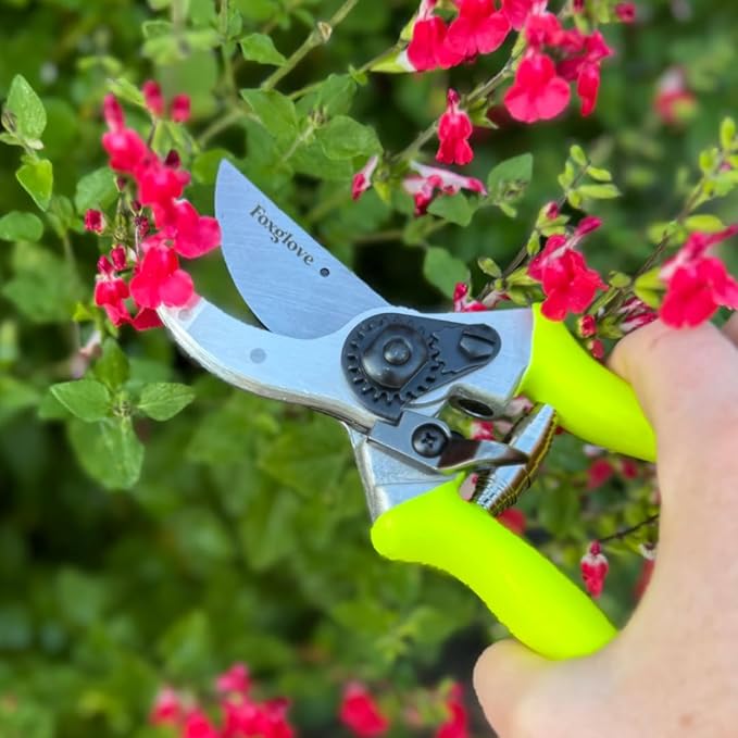 Foxglove 8.5" Garden Shears – Professional Bypass Pruners with Japanese High Carbon Steel Blades, Hand Pruners with Ergonomic Grip, Garden Clippers, Pruning Shears Heavy Duty