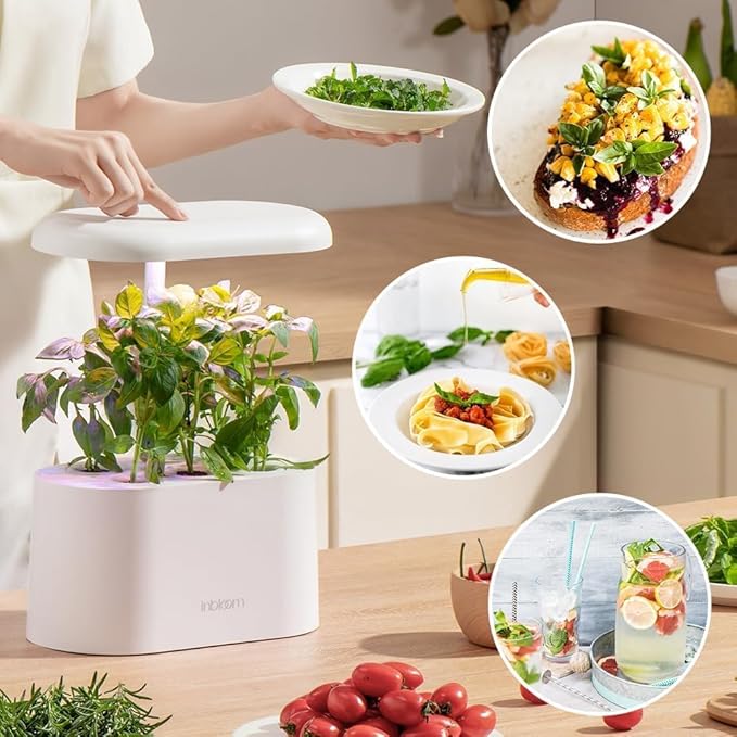 68pcs Hydroponic Pods Kit for Aerogarden, Indoor Garden Hydroponics Growing System - Compatible with All Brands (30 Grow Sponges, 12 Grow Baskets, 12 Grow Domes, 12 Pod Labels, 1 A&B Plant Food)