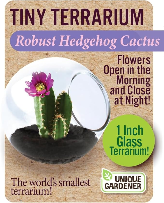 Tiny Terrarium Plant Seeds 6 Variety Cacti Pack, DIY Indoor Succulents and Live Plants for Home or Garden Planting, Assorted Cacti Pack
