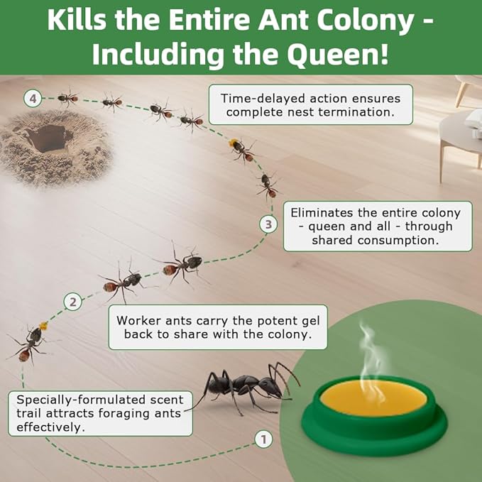 32 PCS Ant Killer Gel Bait Stations, Extra Strengthen Ant Bait Traps, Long-Lasting Effective Pest Gel for Carpenter Ants and Other Common Household Ants, No Mess Easy Use, Safe for Pets and Kids
