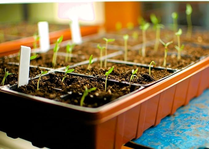 Propagation Mats Original from Manufacturer Size 11" x 48" in. for Reptiles and Seedling mats