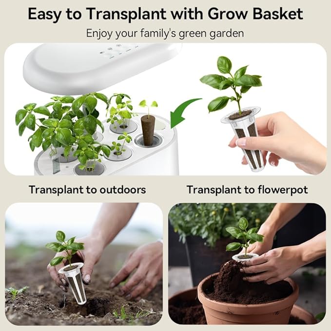 inbloom Salad Green Seed Pod Kit for Hydroponics Growing System, 7 Pods (350+ Seeds with American Fast/Paris Island/Buttercrunch Lettuce, Swiss Chard, Spinach, Cauliflower, and Wild Cabbage)