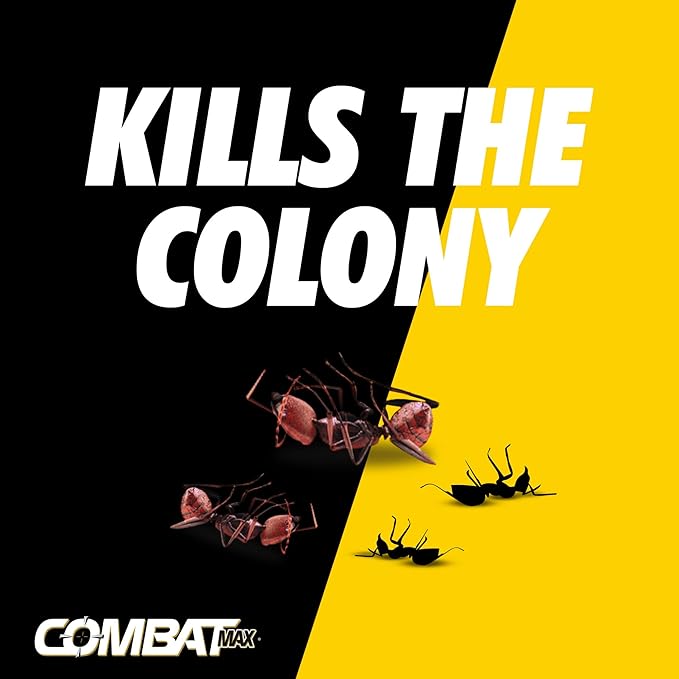 Combat Max 2 in 1 Ant Bait Station, 4 Count (Pack of 3)