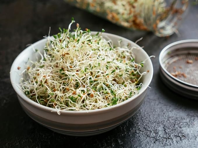 Todd's Seeds Broccoli and Friends Sprouting Seed Mix: Broccoli, Crimson Clover, Red Radish, Alfalfa, Non-GMO, Chemical Free, High Germination (1/2 Pound)