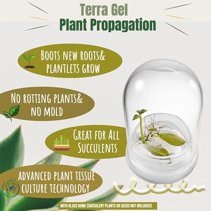 Bloomify Terra Gel Plant Propagation Seed Starter Tray with Glass Dome – Advanced Technology Gardening Supplies Plant Propagation Station for Succulents – Easy to Use Seed Starter Kit