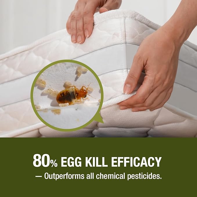 EcoRaider Bed Bug Killer Spray 1 Gallon Jug, Green + Non-Toxic, 100% Kill + Extended Protection