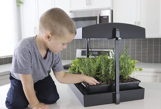 1600200 Grow Light Garden, Black