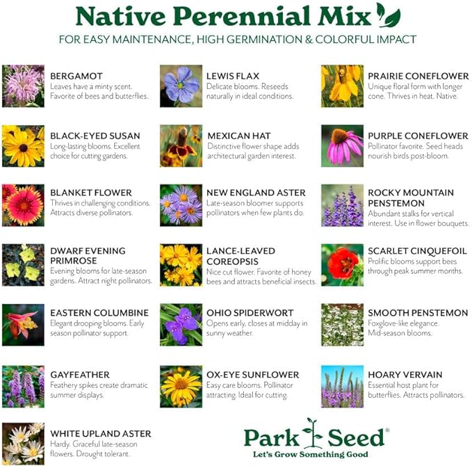 Park Seed Grow Your Own Vibrant Perennial Wildflower Garden Seeds Mixture, Easy to Grow Varieties for Pollinators and Spring Gardens - Native Perennial Mix, 1 lb