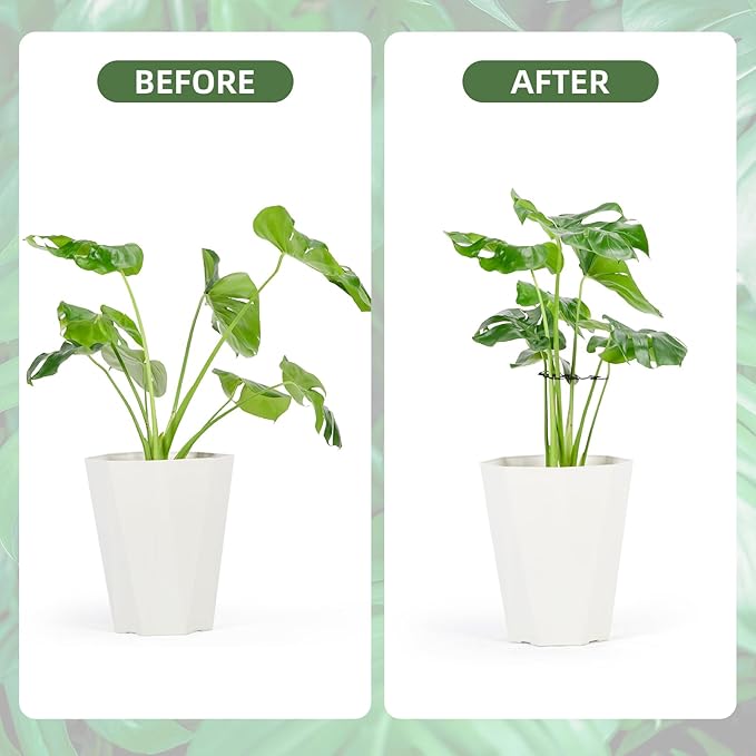 10PCS Iron Monstera Plant Support, Uniquely Designed Indoor Plant Accessories, Stable Plant Support Stakes for Indoor Plant, Turtle Shell Bamboo Clamp Set for Thriving Growth