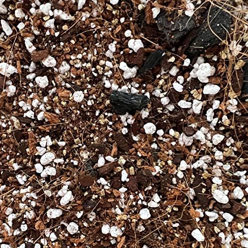 Spider Plant Imperial Houseplant Potting Soil Mix by rePotme - Junior Bag (4 Quarts)