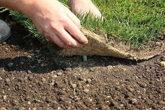 4-Inch Biodegradable Stakes, Pack of 500 - Superior Holding Power Stakes, Sod Staples for Weed Fabric, Eco-Friendly Garden Support Pegs & Fabric Pins, Netting,Turf, Landscaping and Gardening