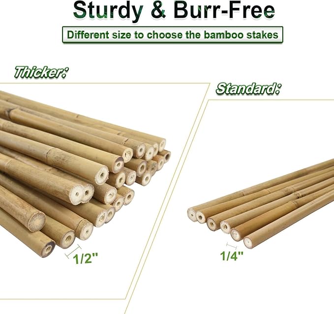 1" D 8 Feet Bamboo Stakes 50 Pack, Thicker Heavy-Duty Plant Stakes, Natural Garden Stakes for Bean, Tomato, Bean, Flowers,Trees Potted and Climbing Plant Support
