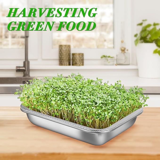 Picowe Stainless Steel Sprouting Trays Seed Sprouting Kit with Stainless Steel Mesh Tray Seed Starter Tray Seed Sprouting Kit (3pack, 10.4 x 7.7inch)