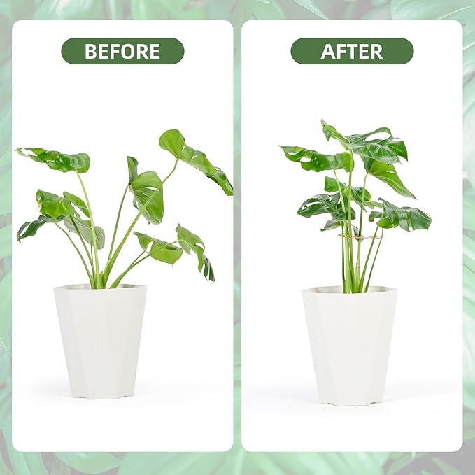 10PCS Iron Monstera Plant Support, Uniquely Designed Indoor Plant Accessories, Stable Plant Support Stakes for Indoor Plant, Turtle Shell Bamboo Clamp Set for Thriving Growth