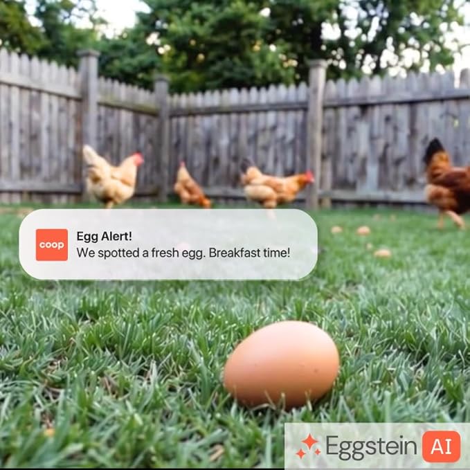 Coop Smart All-in-One Chicken Kit – Includes Automatic Door, and (2) AI CoopCams for 4-6 Chickens, Solar Optional