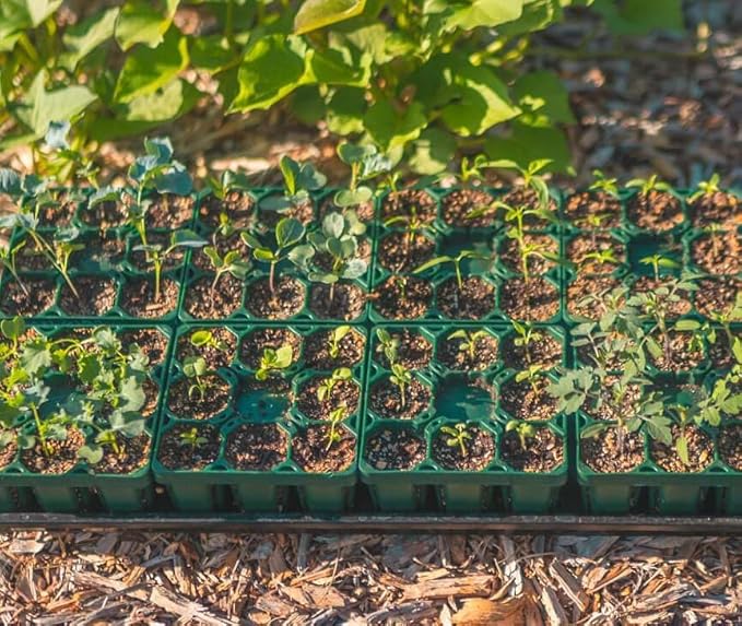 Vego garden Seedling Suite Products, 8 Pack Jumbo Seedling Trays with 10" x 20" Bottom Watering Trays