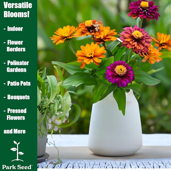 Park Seed Zinnia Flower Planting Seeds, Easy to Grow, Perfect for Spring Garden, Aztec Sunset Mix, Pack of 25