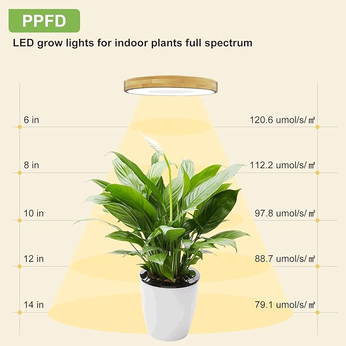 Grow Light for Indoor Plants, 216 LEDs Full Spectrum Halo Plant Light with Auto On/Off Timer (4/8/12H), 10-Level Dimmable, 3 Lighting Modes for Small Plants, Bamboo (6.3 inch Tri Head)