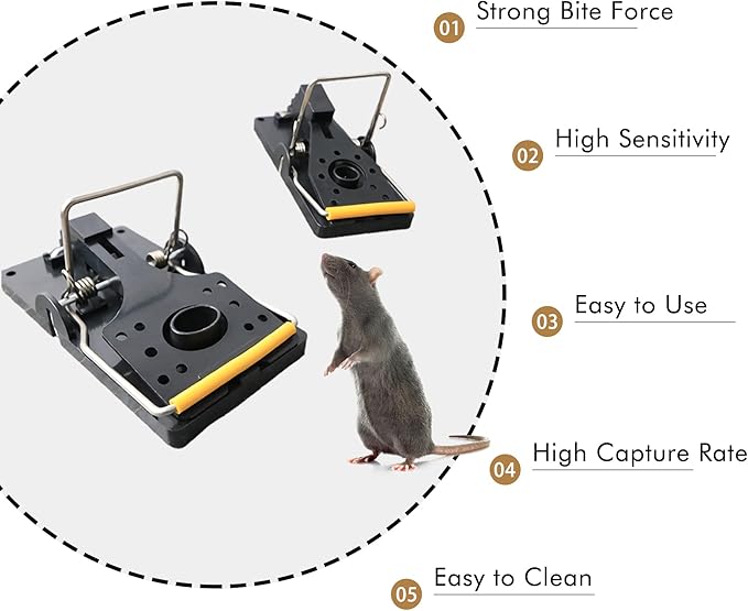 Grandpa Gus's Pest Control Large Snap Traps for Mice/Rats, Durable Plastic, Stainless Steel Powerful Spring Arm & Very Sensitive Trigger (Pack of 6)