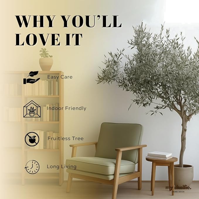 Dwarf Olive Tree Starter Plant, 2 Inch Pot, Indoor Outdoor Bonsai (1)