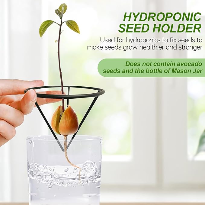 Avocado Seeds - Avocado Seed Starter Vase Rack for Mason Jar of Wide-Mouth 4Pcs, Avocado Seed Holder Triangular Metal Bracket for Family Friends and Gardening Enthusiasts (3 Pcs Vase Set)
