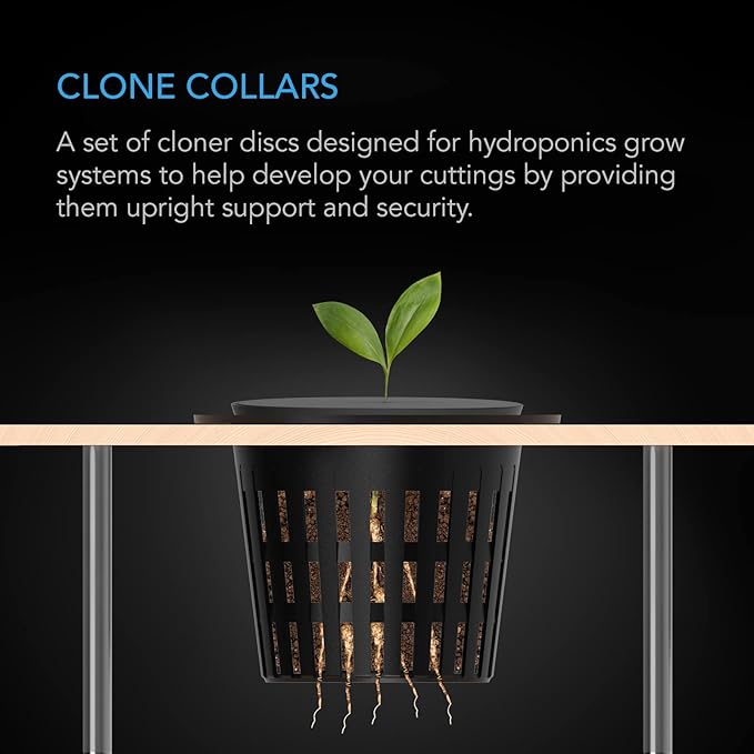 AC Infinity Clone Collar 3-Inch, Cloner Inserts with 8-Spoke Design, 50-Pack for Use with Net Cups in Hydroponics Growing Systems, Aeroponics, Cloning Machines, and Home Gardening