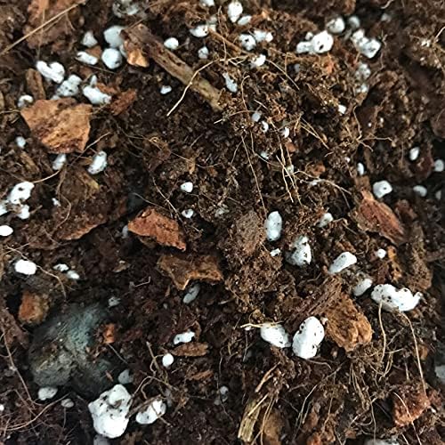 Bromeliad Potting Mix (Standard Bag)