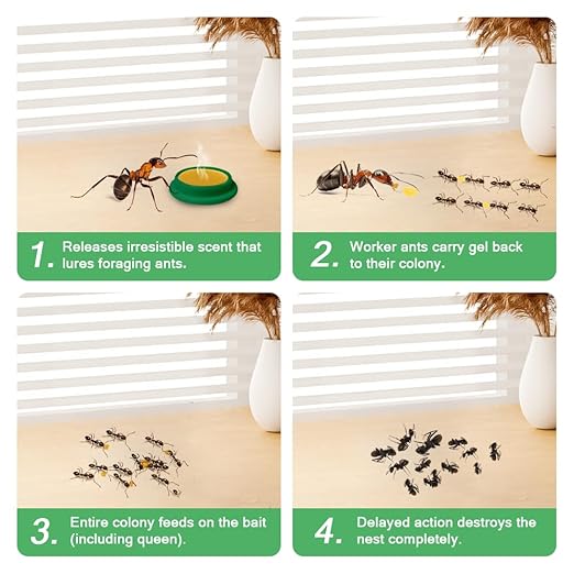 36 Pack Ant Killer Gel Bait, Long Lasting Indoor & Outdoor Ants Bait for Effective Ant Control, Safe & Easy to Use Pest Control for All Common Household Ants, Mess-Free Gel Stations
