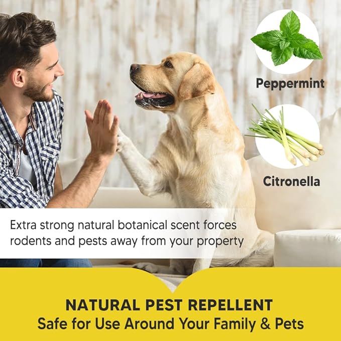 Pest Control, Mice Repellent Indoor, Rat Repellent, Mouse Repellent Outdoor, Long-Lasting Rodent Repellent Indoor, Repel Mice, Mouse, Rats, Ants, Roaches, Spiders, Moths & Other Pests-12P