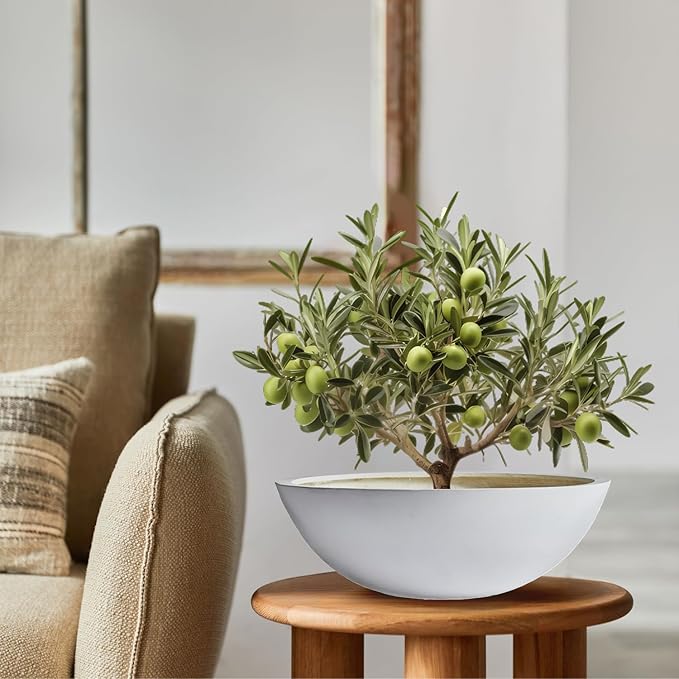 6.9" H x 19.7" D Round Bowl Fiberstone Planter for Succulent and Lotus, Drainage Hole, Weather Resistant for Indoor and Outdoor Use, Included 2 Extra Coco Mats (White, 17.9" Pot Opening)