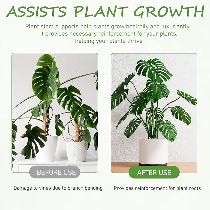 4-Pack Plant Stem Support, Plant Stabilizer for Indoor Plants, Monstera Plant Support System, Plant Stem Holder for Fixing Green Plants and Vines (A)