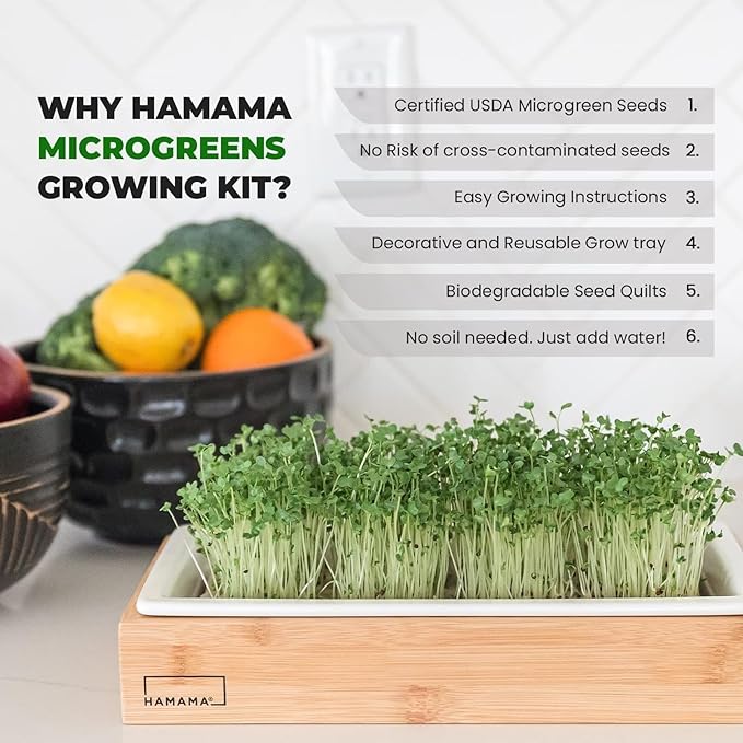 HAMAMA Microgreens Growing Kit Broccoli & Salad - Indoor Sprouts Mat - Seed Quilts Easy Setup Pack of 2 - Plastic Tray and Bamboo Frame