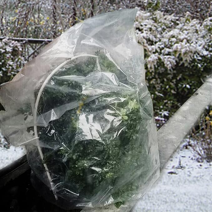 ANPHSIN 6 Pcs Winter Plant Film Cover with Drawstring - 35.4" x 59" Plastic Plant Cover Freeze Protection Transparent Waterproof Plant Shelter Bag for Outdoors Garden Plants Shrubs Sapling Crops