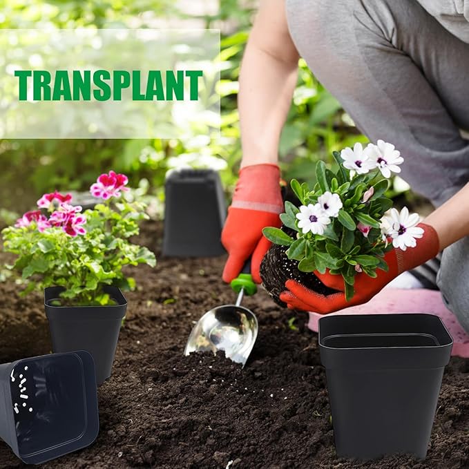Square Nursery Pots Clearance (2.7", 3", 3.5", 4") with Drainage Holes 20 Pcs, Plastic Seed Starting Pots, Sturdy and Durable Seedling Pots for Planting, Cuttings and Transplanting, Black