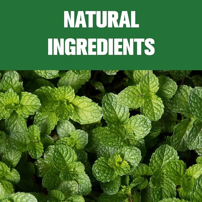 Cat Repellent Outdoor, Peppermint Cat Repellent, Safe for Kids & Pets, Naturally Keep Cats Out of Lawn/Yard/Garden/Home, Indoor and Outdoor Use Cat Repellant, Lasting Protection, 8 Packs