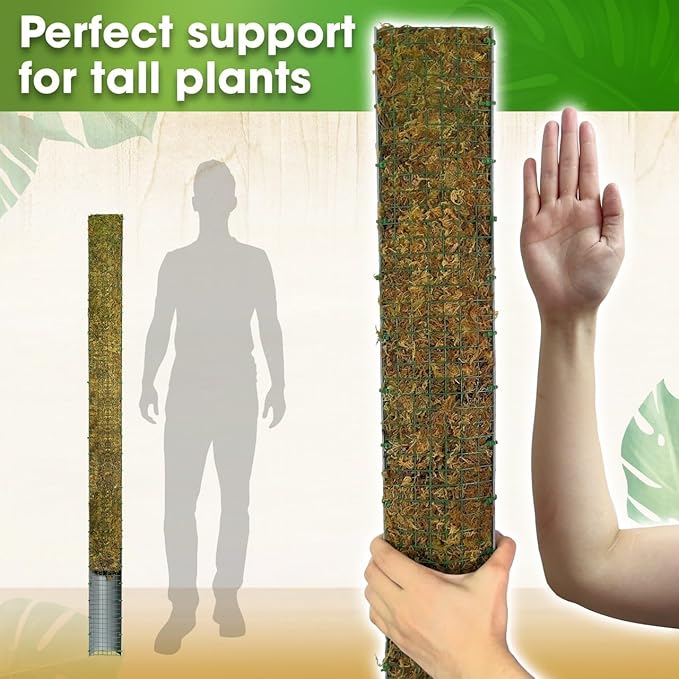 DUSPRO 59ββ D-Shape Moss Pole for Climbing Plants Monstera Moss Plant Pole Handmade Moss Stick for Indoor Plants Grow Upward (59'', 1pc.)
